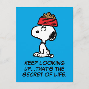 Peanuts   Snoopy Balancing His Dog Dish Postcard