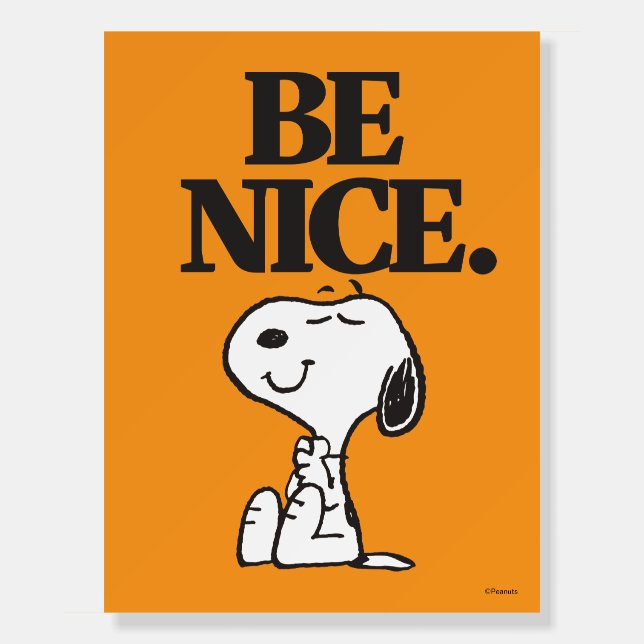 Peanuts Snoopy Be Nice Foam Board (Front)