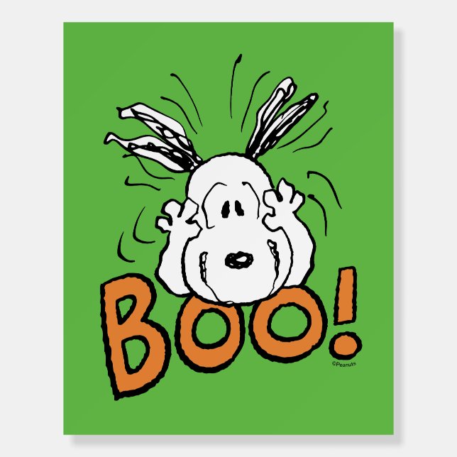 Peanuts | Snoopy Boo Foam Board (Front)