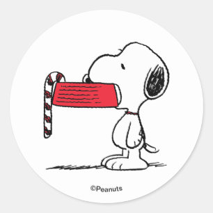 Peanuts   Snoopy Candy Cane Food Dish Classic Round Sticker