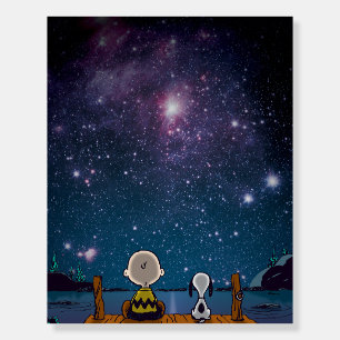 Peanuts   Snoopy & Charlie Brown Star Watching Foam Board