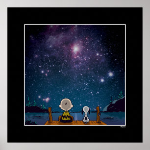 Peanuts Snoopy & Charlie Brown Star Watching Poster