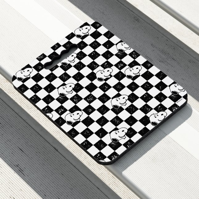 Peanuts | Snoopy Checkered Flag Seat Cushion (In Situ)