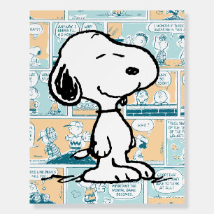 Peanuts   Snoopy Comic Pattern Foam Board