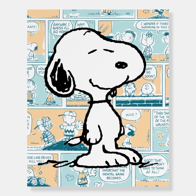 Peanuts | Snoopy Comic Pattern Foam Board (Front)