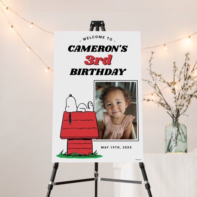 Peanuts Snoopy Dog House Birthday Foam Board (In Situ (Stand))