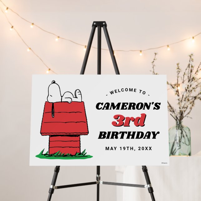 Peanuts Snoopy Dog House Birthday Foam Board (In Situ (Stand))