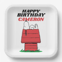 Peanuts Snoopy Dog House Birthday Paper Plates