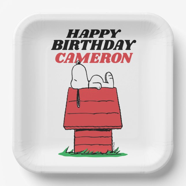 Peanuts Snoopy Dog House Birthday Paper Plates (Front)