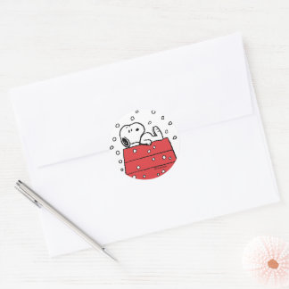 Peanuts | Snoopy Doghouse Snowflakes Classic Round Sticker