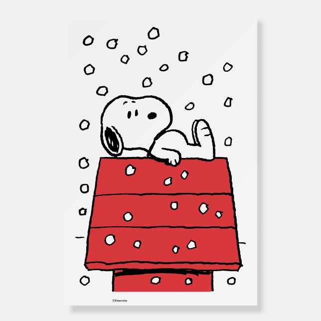 Peanuts | Snoopy Doghouse Snowflakes Foam Board (Front)