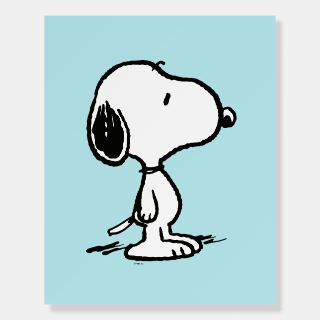 Peanuts | Snoopy Foam Board (Front)