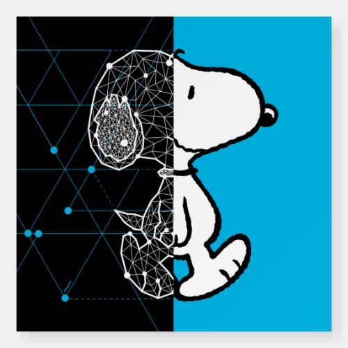 Peanuts  Snoopy Geometric Design Foam Board