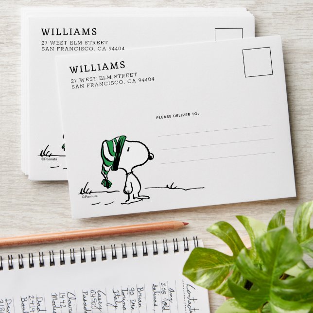 Peanuts | Snoopy Green Snow Cap Envelope (Stacked)