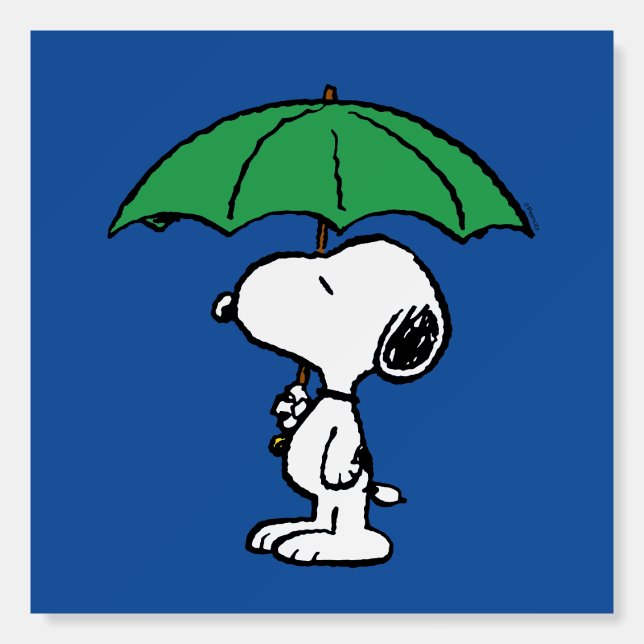 Peanuts | Snoopy Green Umbrella Foam Board (Front)