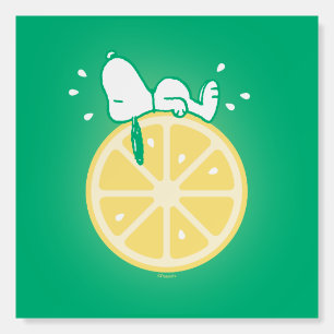Peanuts Snoopy Lemon Slice Foam Board
