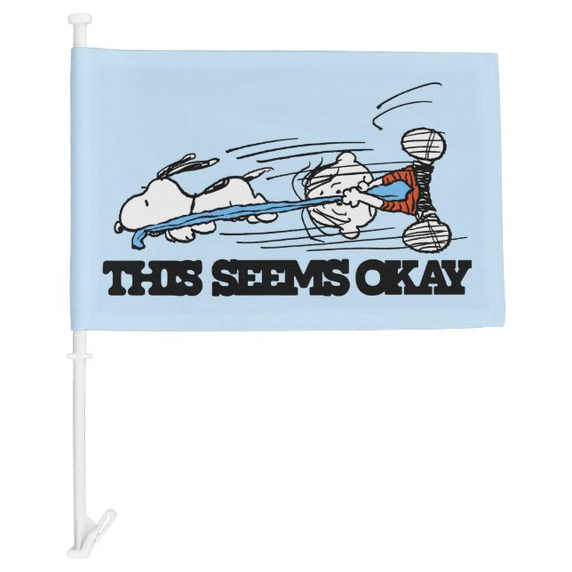 Peanuts | Snoopy & Linus Car Flag (Front)