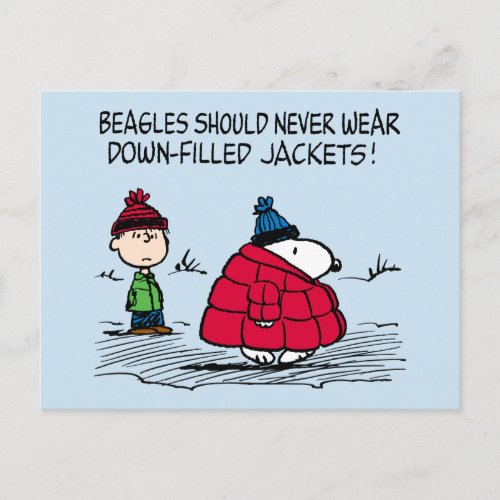 Peanuts  Snoopy  Linus Down Filled Jacket Postcard