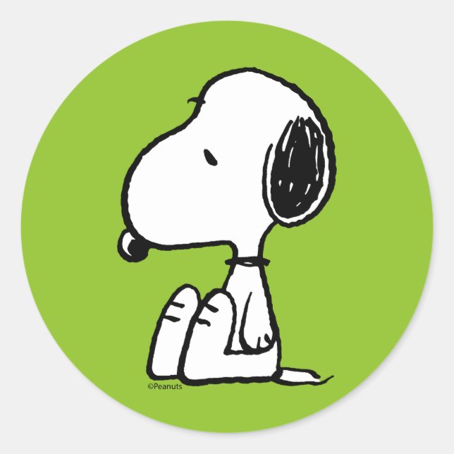 Peanuts | Snoopy Looking Down Classic Round Sticker (Front)