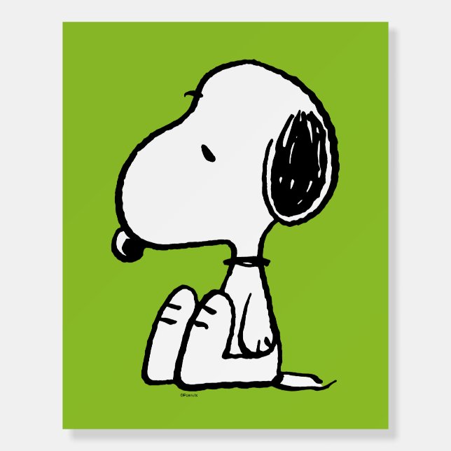 Peanuts | Snoopy Looking Down Foam Board (Front)