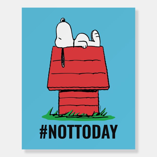 Peanuts | Snoopy Napping Foam Board (Front)