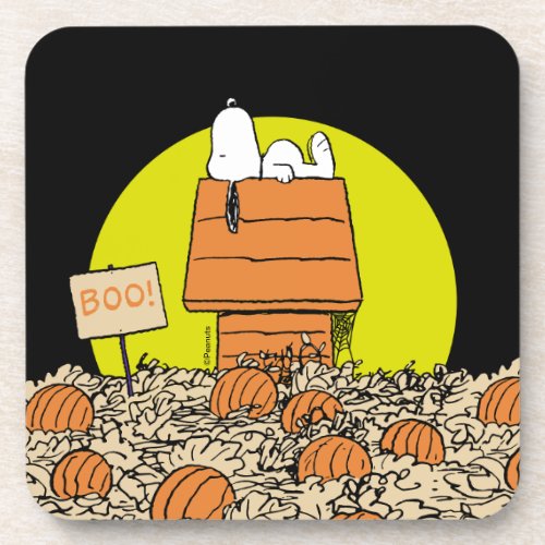 Peanuts  Snoopy Napping in the Pumpkin Patch Beverage Coaster