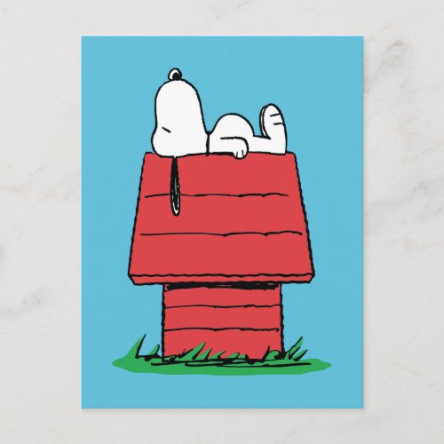 Peanuts  Snoopy Napping Postcard