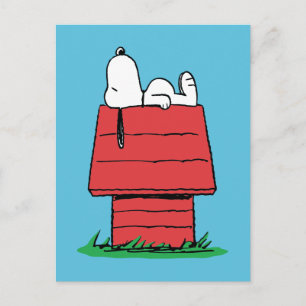 Peanuts Snoopy Napping Postcard