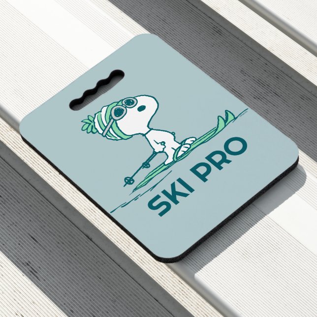 Peanuts | Snoopy on Skis Seat Cushion (In Situ)