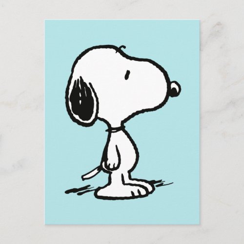Peanuts  Snoopy Postcard