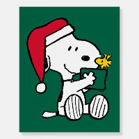 Peanuts | Snoopy Santa & Woodstock Gift