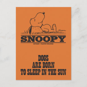 Peanuts Snoopy Sleeping in the Sun Postcard