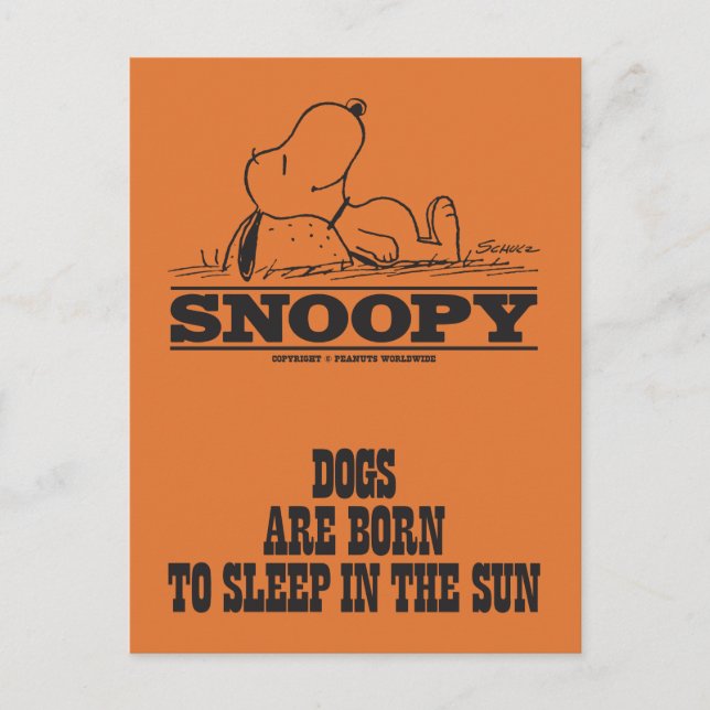 Peanuts | Snoopy Sleeping in the Sun Postcard (Front)