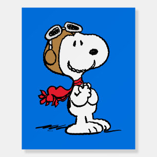 Peanuts   Snoopy The Flying Ace Foam Board