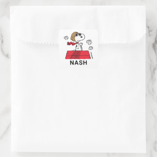 Peanuts | Snoopy the Flying Ace Square Sticker