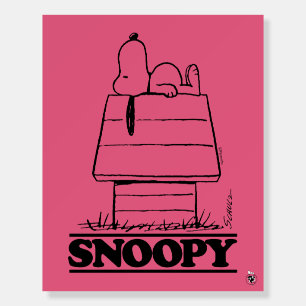 Peanuts   Snoopy The Secret To Life Foam Board