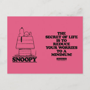 Peanuts Snoopy The Secret To Life Postcard