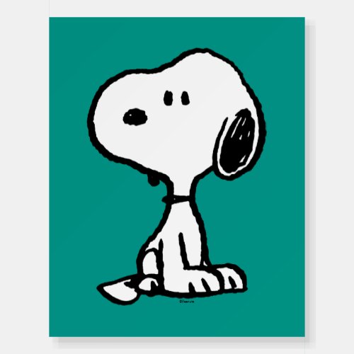 Peanuts  Snoopy Turns Foam Board