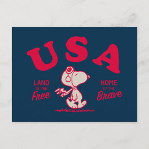 Peanuts   Snoopy USA Land of the Free Postcard