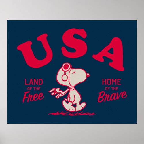 Peanuts  Snoopy USA Land of the Free Poster