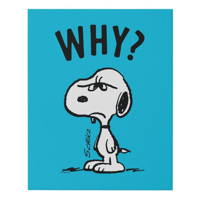 Peanuts | Snoopy Wonders Why? Faux Canvas Print (Front)