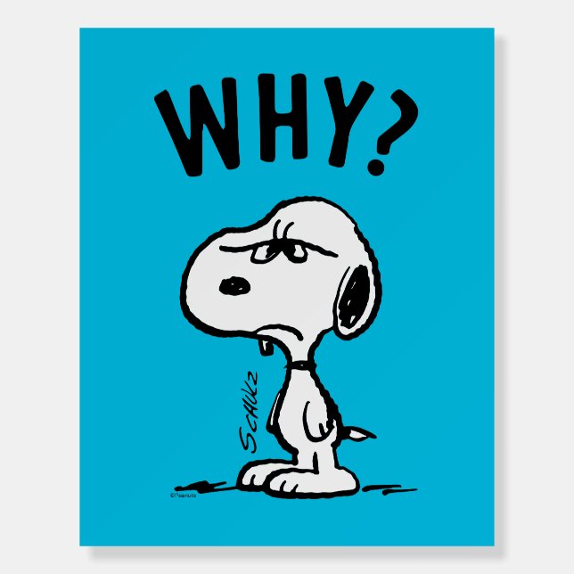 Peanuts | Snoopy Wonders Why? Foam Board (Front)