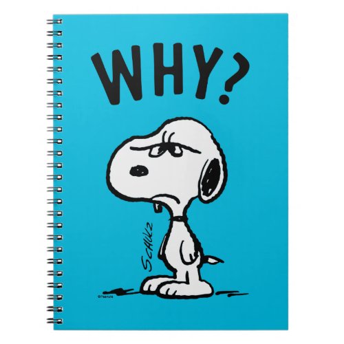 Peanuts  Snoopy Wonders Why Notebook