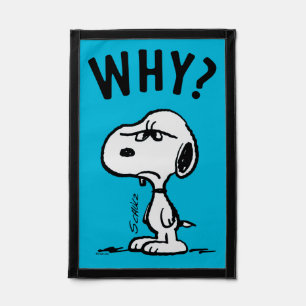 Peanuts Snoopy Wonders Why? Pennant