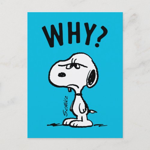 Peanuts  Snoopy Wonders Why Postcard