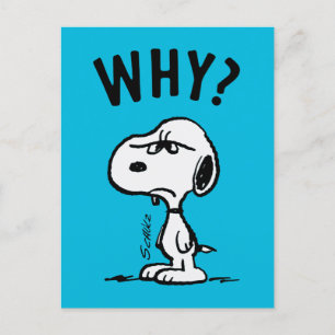 Peanuts Snoopy Wonders Why? Postcard