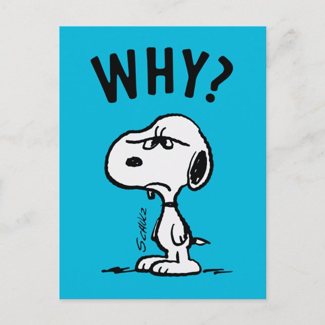 Peanuts | Snoopy Wonders Why? Postcard (Front)