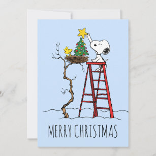 Peanuts   Snoopy & Woodstock   Add Your Photos Holiday Card