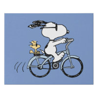 Peanuts | Snoopy & Woodstock Bicycle