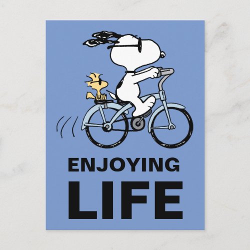 Peanuts  Snoopy  Woodstock Bicycle Postcard